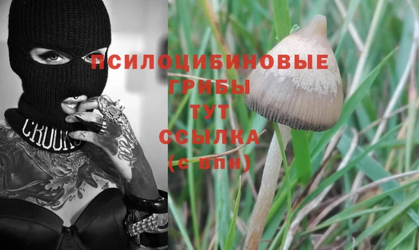 СК Балабаново